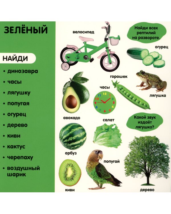 Фотокнига. Цвета. Более 240 новых слов