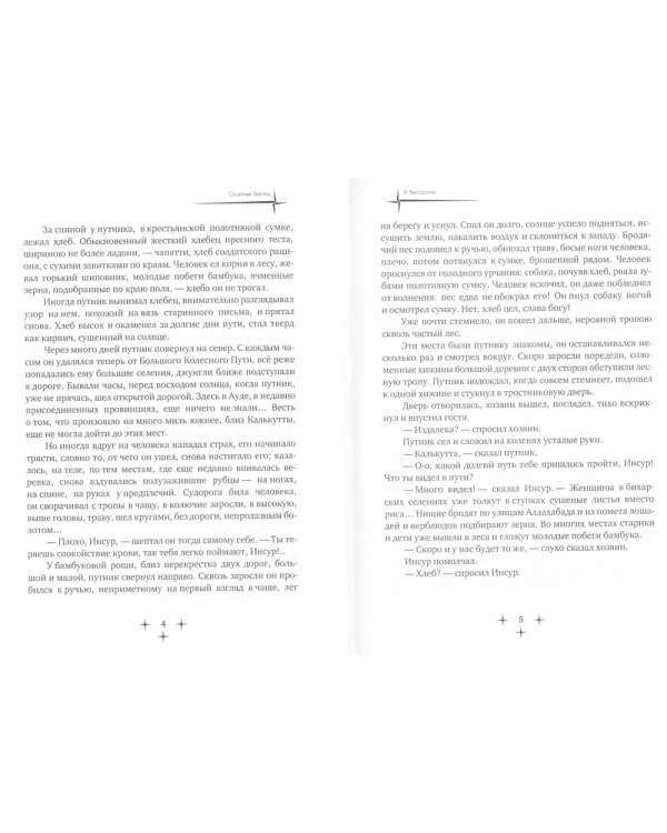 Опасный беглец