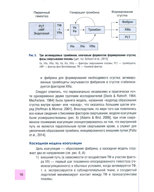 Чрезмерная компенсаторная коагуляция: от кровоточивости до тромбогенности: Учебное пособие