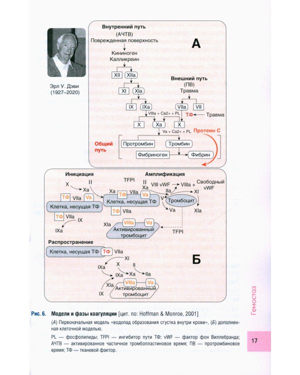 Чрезмерная компенсаторная коагуляция: от кровоточивости до тромбогенности: Учебное пособие