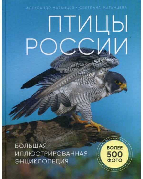 Птицы России. Большая иллюстрированная энциклопедия