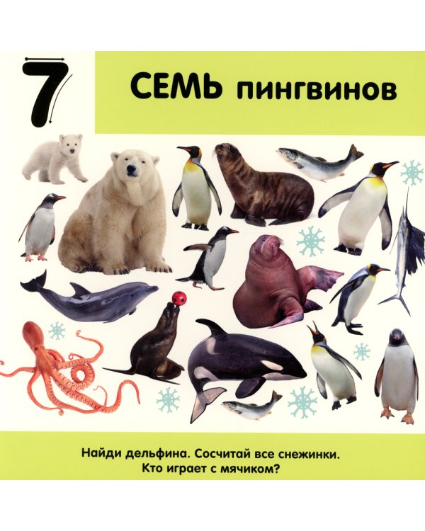 Фотокнига. Цифры