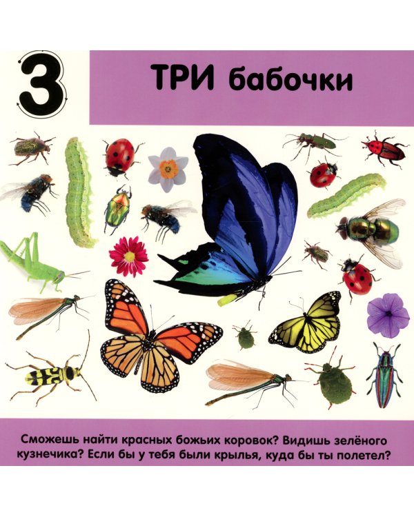 Фотокнига. Цифры