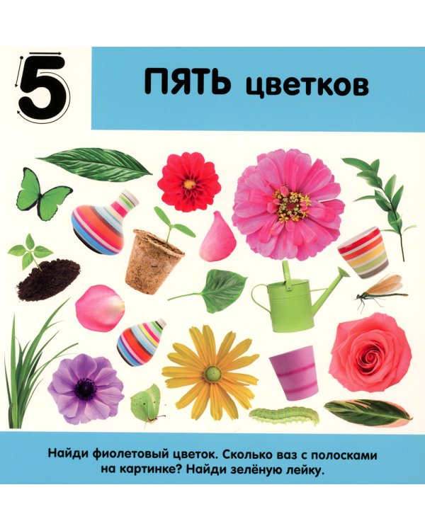 Фотокнига. Цифры