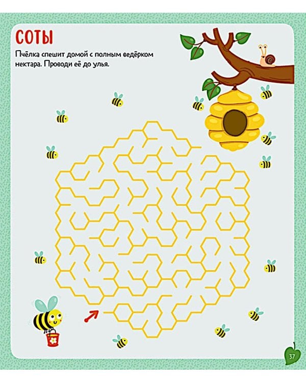 Книга заданий и развивашек для маленьких следопытов