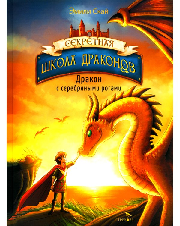 Дракон с серебряными рогами. Кн. 2