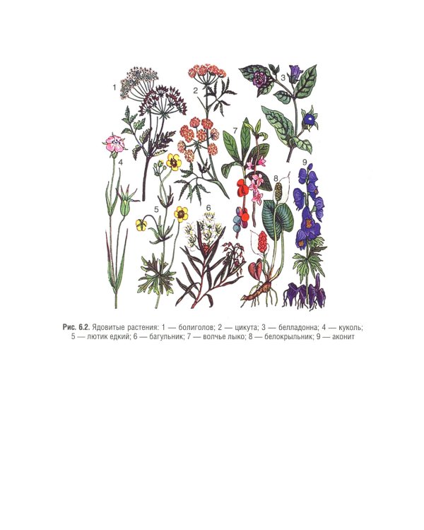 Гигиена и экология человека: Учебник