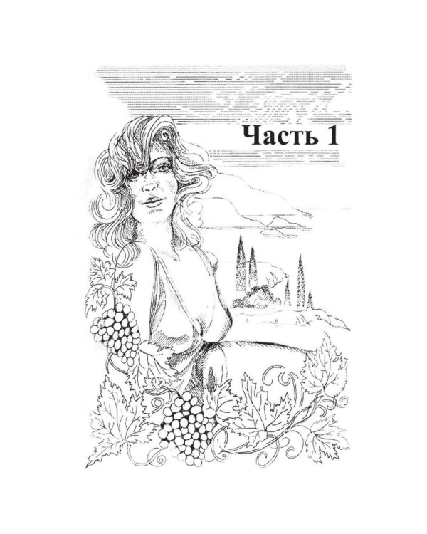 Верка: роман