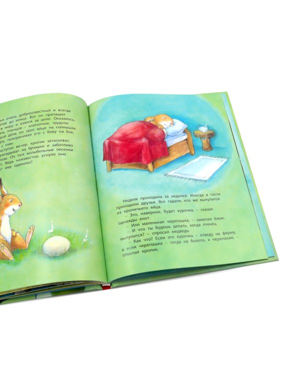 Как подружиться с драконом