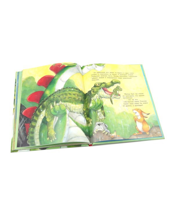 Как подружиться с драконом