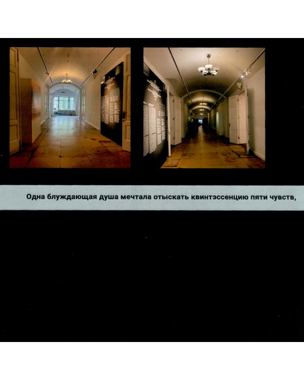 Квинтэссенция пяти чувств