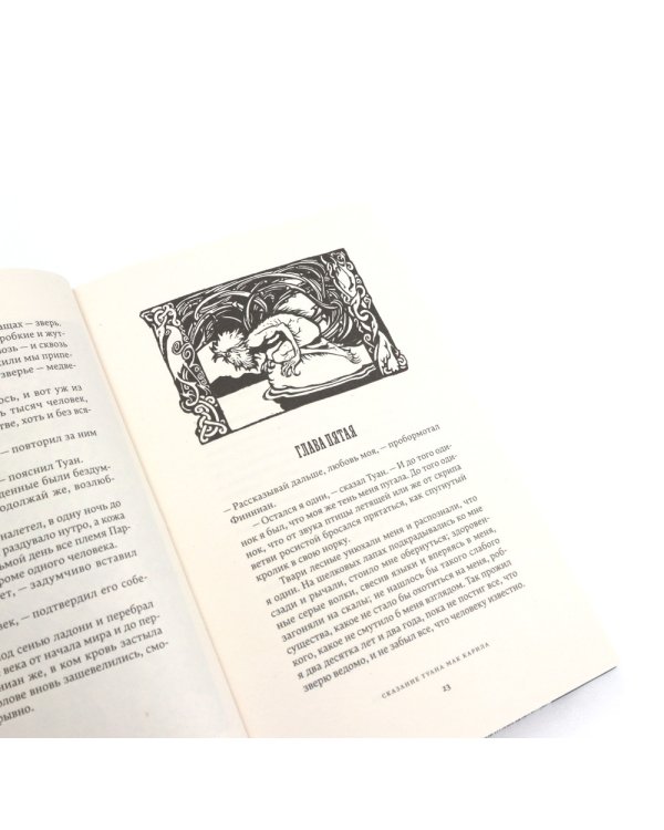 Ирландские чудные сказания