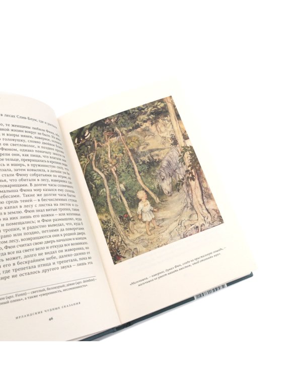 Ирландские чудные сказания