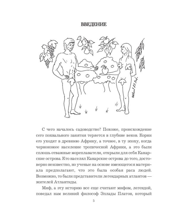 Сад-кормилец