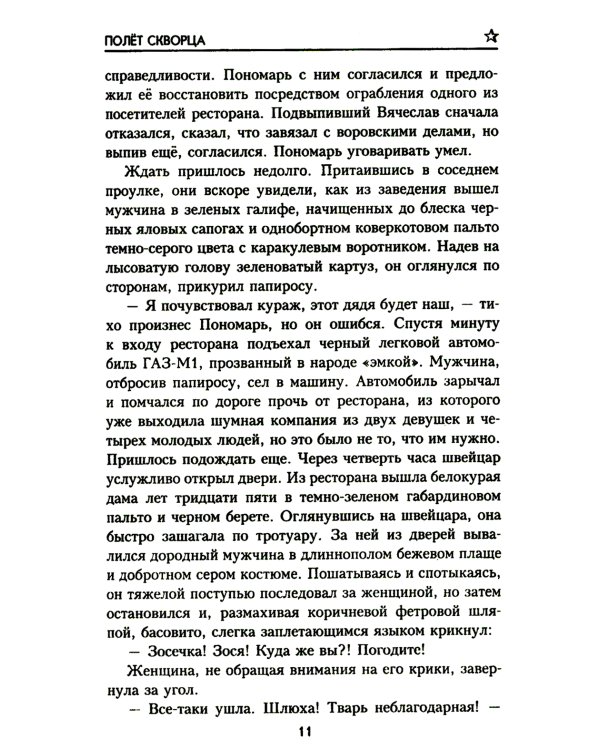 Полет скворца: роман