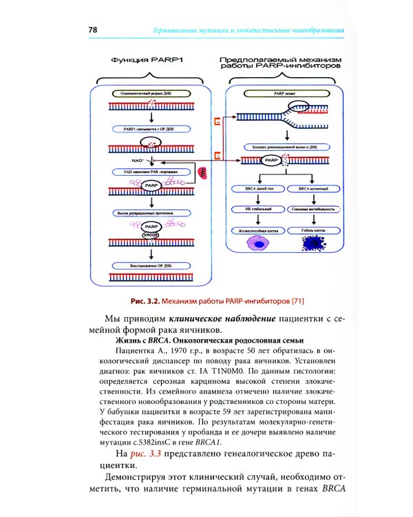 Герминальные мутации и злокачественные новообразования. Значение для патогенеза, диагностики и лечения злокачественных новообразований