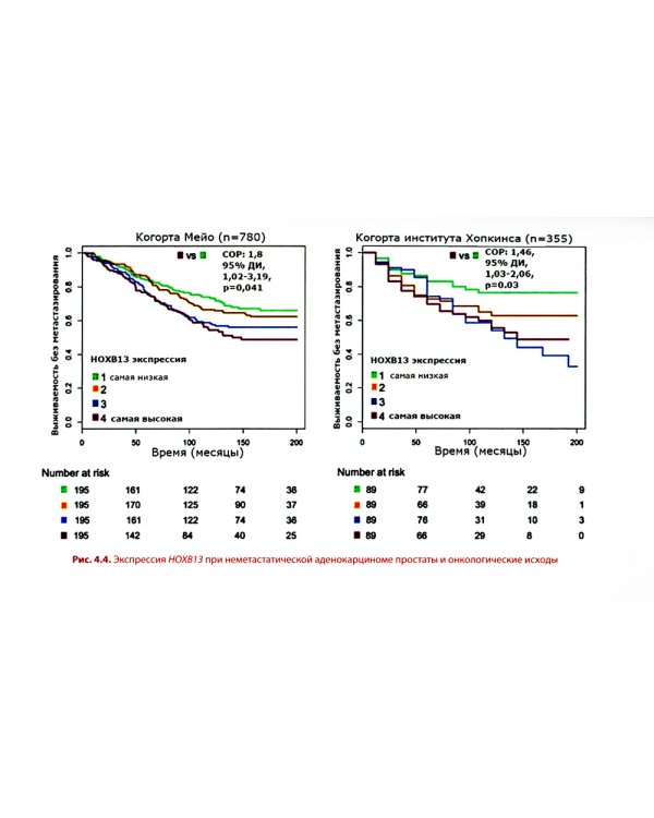 Герминальные мутации и злокачественные новообразования. Значение для патогенеза, диагностики и лечения злокачественных новообразований