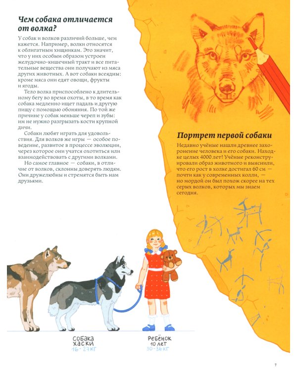 Секреты собак. Как понять собаку и стать ей другом