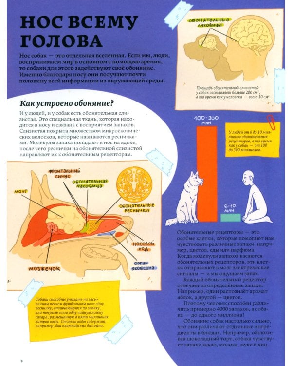 Секреты собак. Как понять собаку и стать ей другом