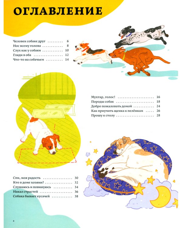 Секреты собак. Как понять собаку и стать ей другом