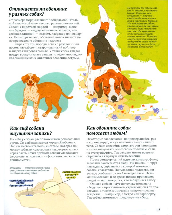 Секреты собак. Как понять собаку и стать ей другом