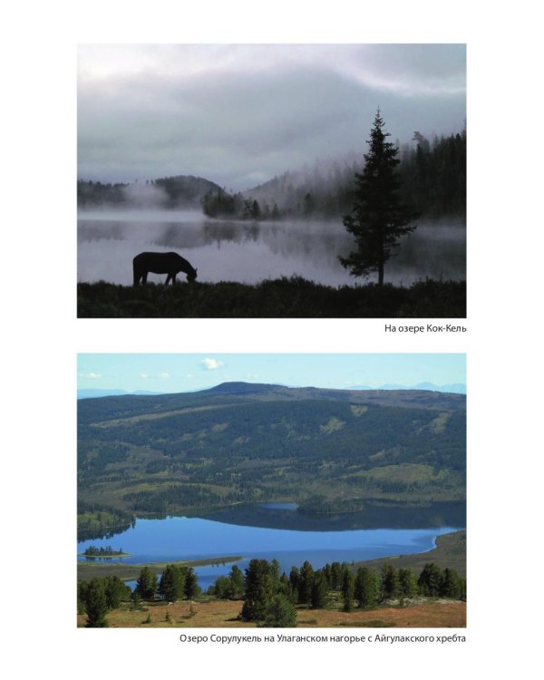 Живой Алтай. Горы, люди, приключения