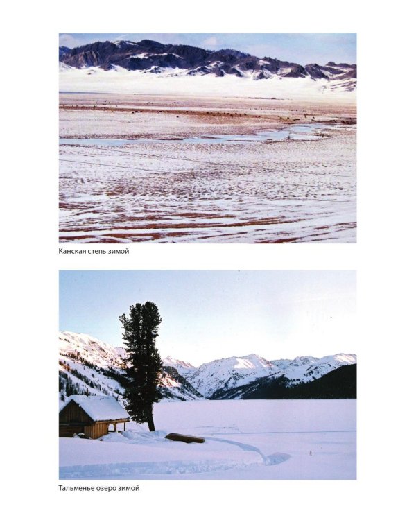 Живой Алтай. Горы, люди, приключения