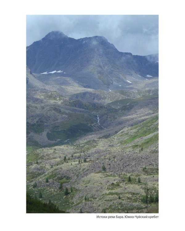 Живой Алтай. Горы, люди, приключения