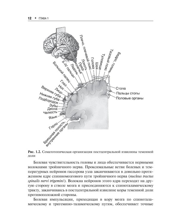 Хроническая боль и ее лечение в неврологии. 2-е изд., перераб. и доп