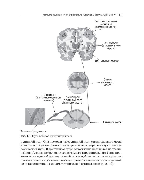Хроническая боль и ее лечение в неврологии. 2-е изд., перераб. и доп