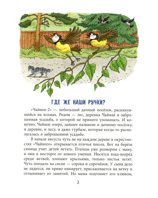 Кошкам можно все: повесть