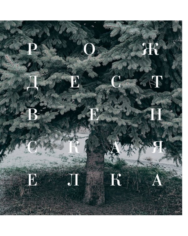 Желудь, рог и яблоко: путеводитель в мир зеленого колдовства