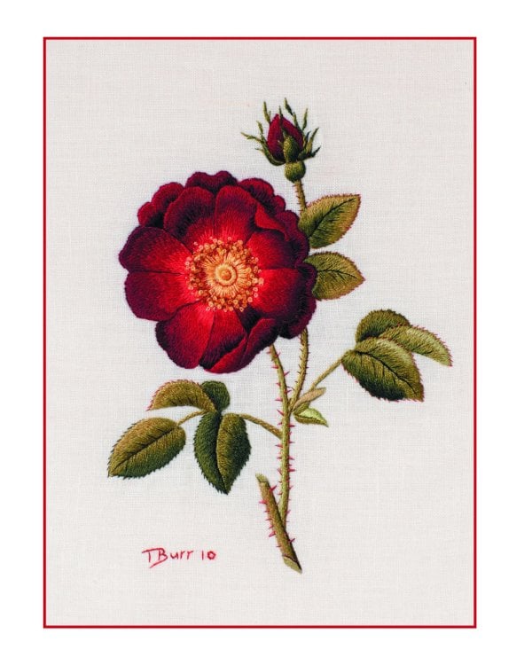 Оттеночное вышивание гладью: мотивы с цветами и птицами