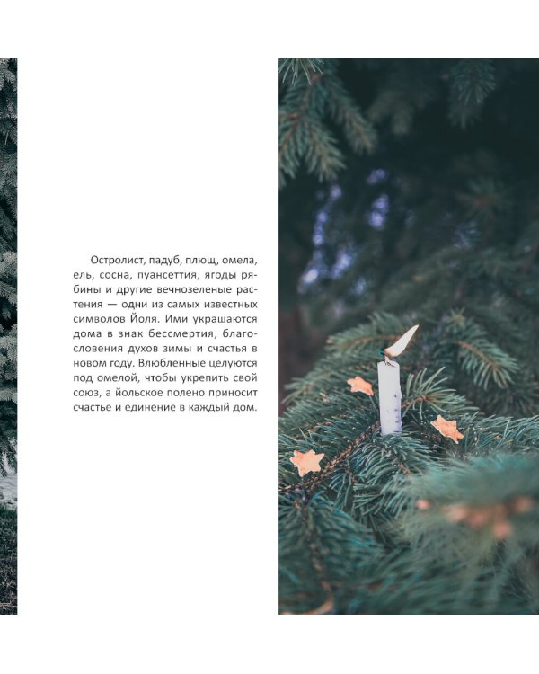 Желудь, рог и яблоко: путеводитель в мир зеленого колдовства