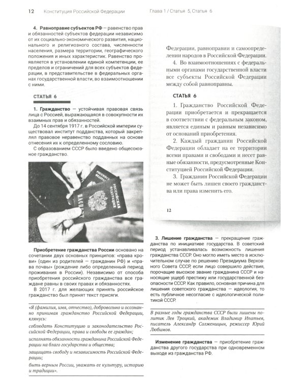 Подробный иллюстрированный комментарий к Конституции РФ