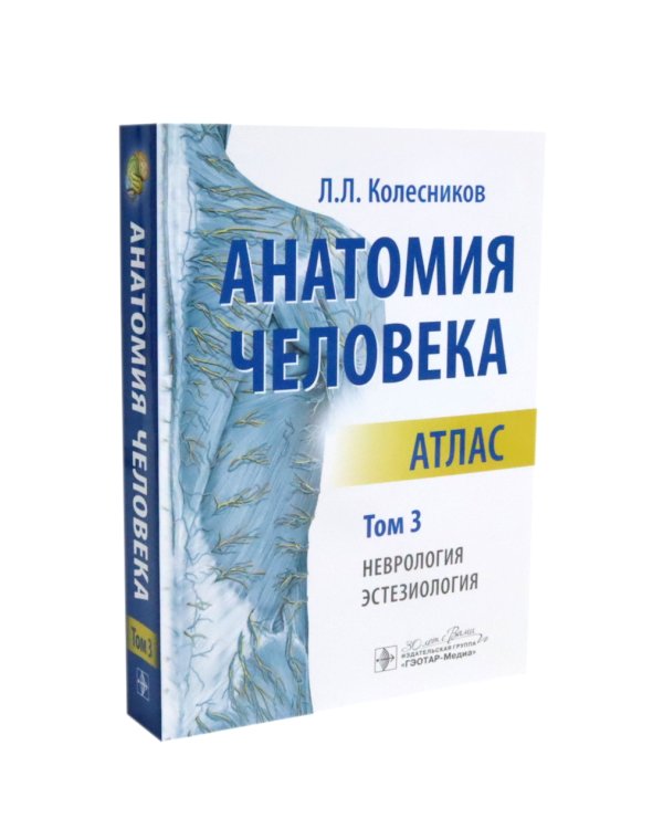 Анатомия человека: Атлас. В 3 т. (комплект из 3-х книг)