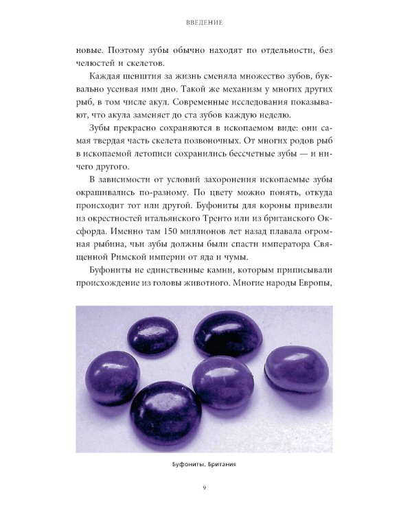 Мифы окаменелостей. От костей великанов и пальцев водяных до зубов дракона и стрел с неба