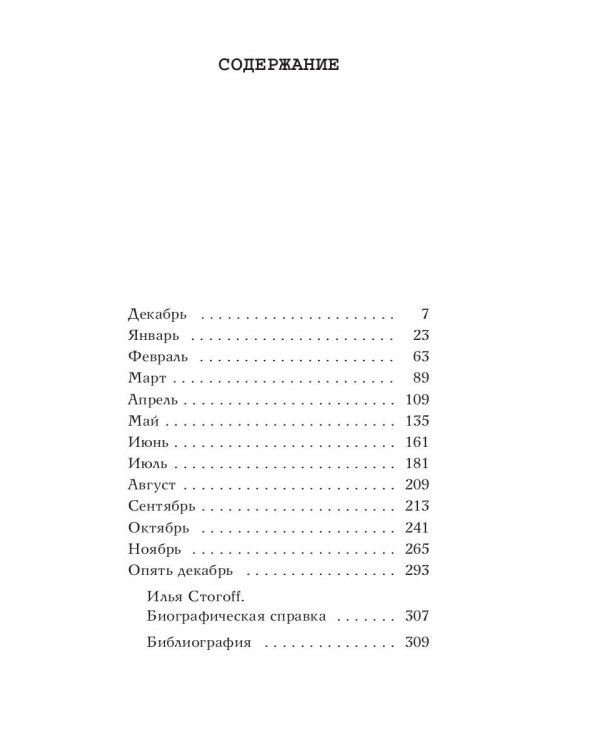 13 месяцев: роман