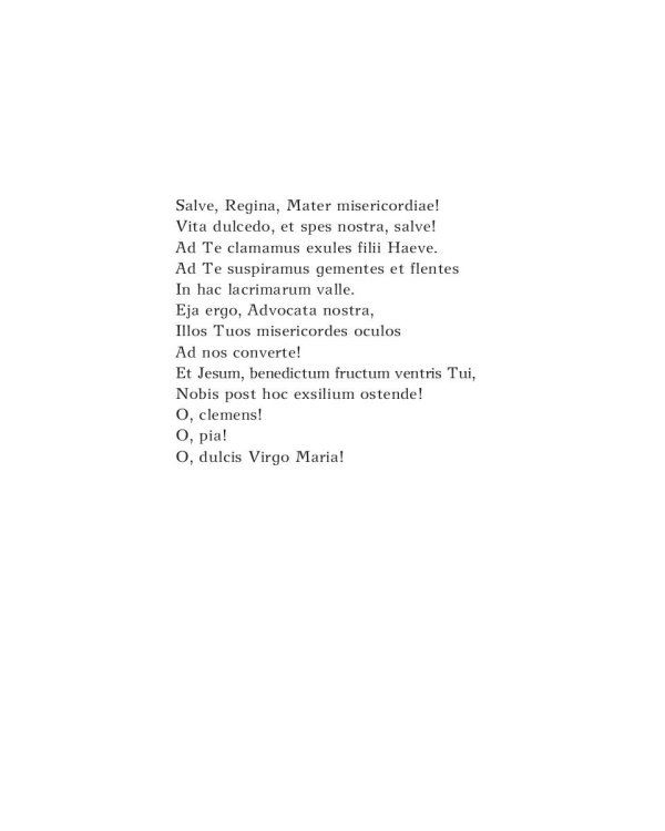 13 месяцев: роман