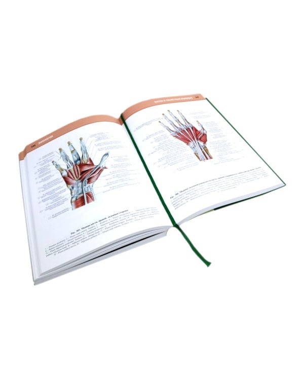 Анатомия человека: Атлас. В 3 т. (комплект из 3-х книг)