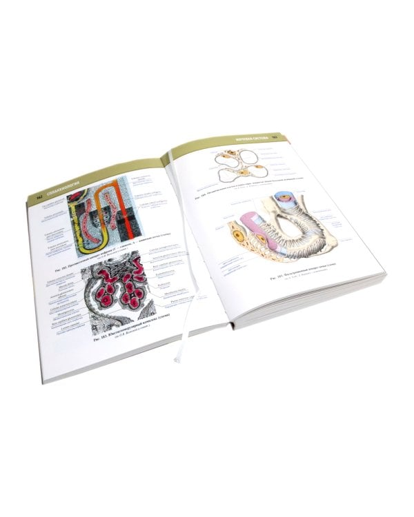 Анатомия человека: Атлас. В 3 т. (комплект из 3-х книг)