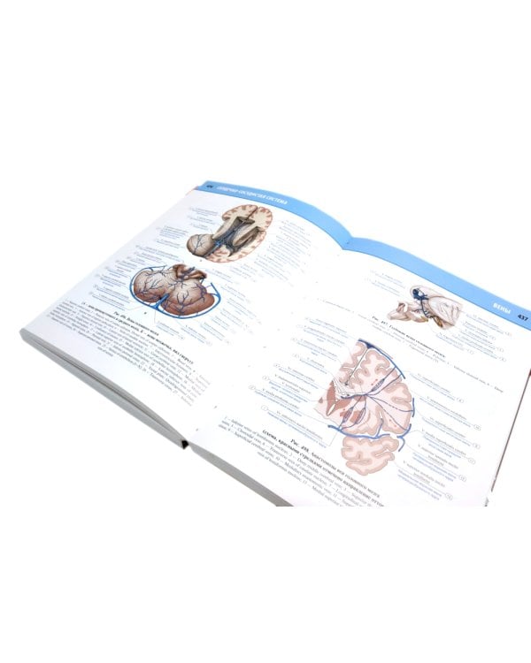 Анатомия человека: Атлас. В 3 т. (комплект из 3-х книг)