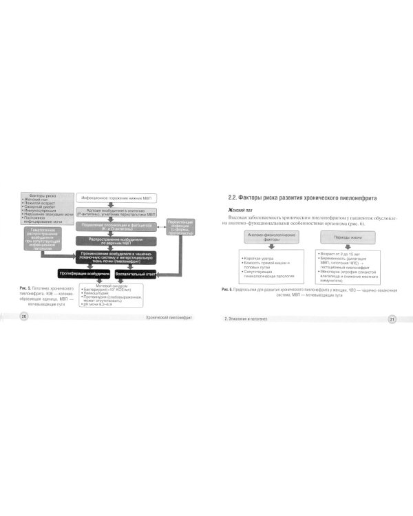 Хронический пиелонефрит и хроническая болезнь почек в практике врача поликлиники