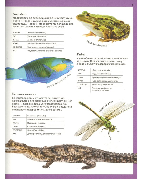 Животные. Современная энциклопедия