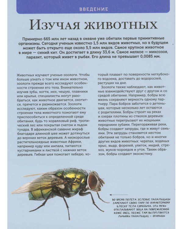Животные. Современная энциклопедия