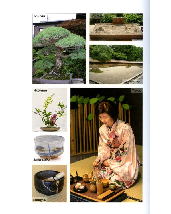 Япония: все, что вы хотели знать