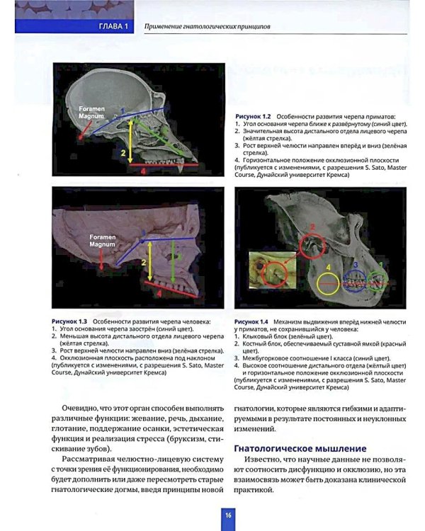Высота окклюзии в протезировании и ортогнатологии. Интеграция эстетики и функции