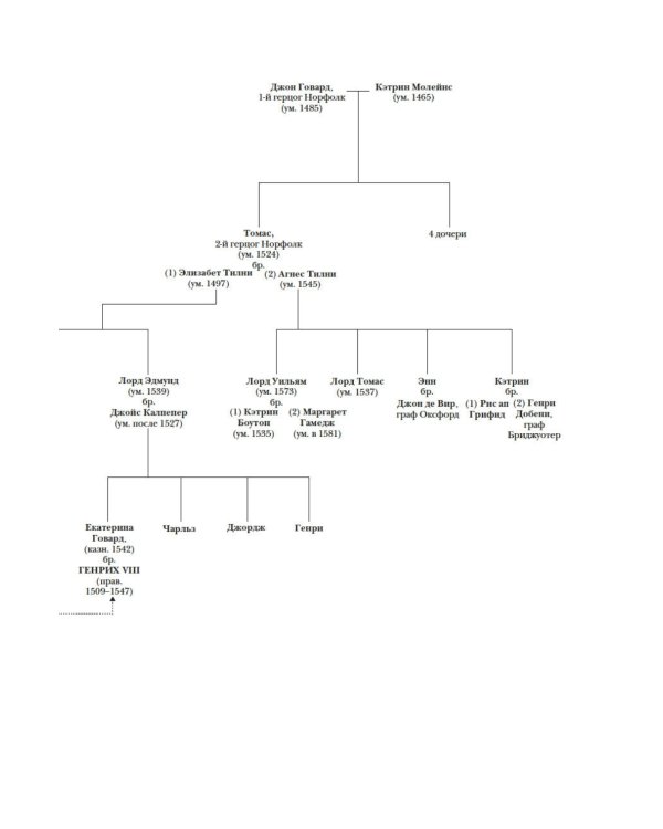 Охота на сокола. Генрих VIII и Анна Болейн: брак, который перевернул устои, потряс Европу и изменил Англию