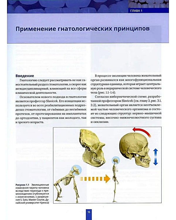 Высота окклюзии в протезировании и ортогнатологии. Интеграция эстетики и функции