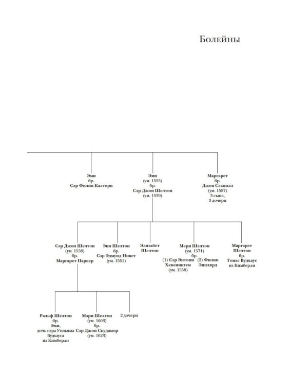 Охота на сокола. Генрих VIII и Анна Болейн: брак, который перевернул устои, потряс Европу и изменил Англию